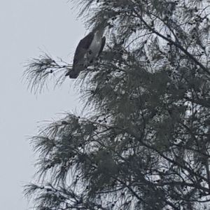 Meet your Posher, Connie